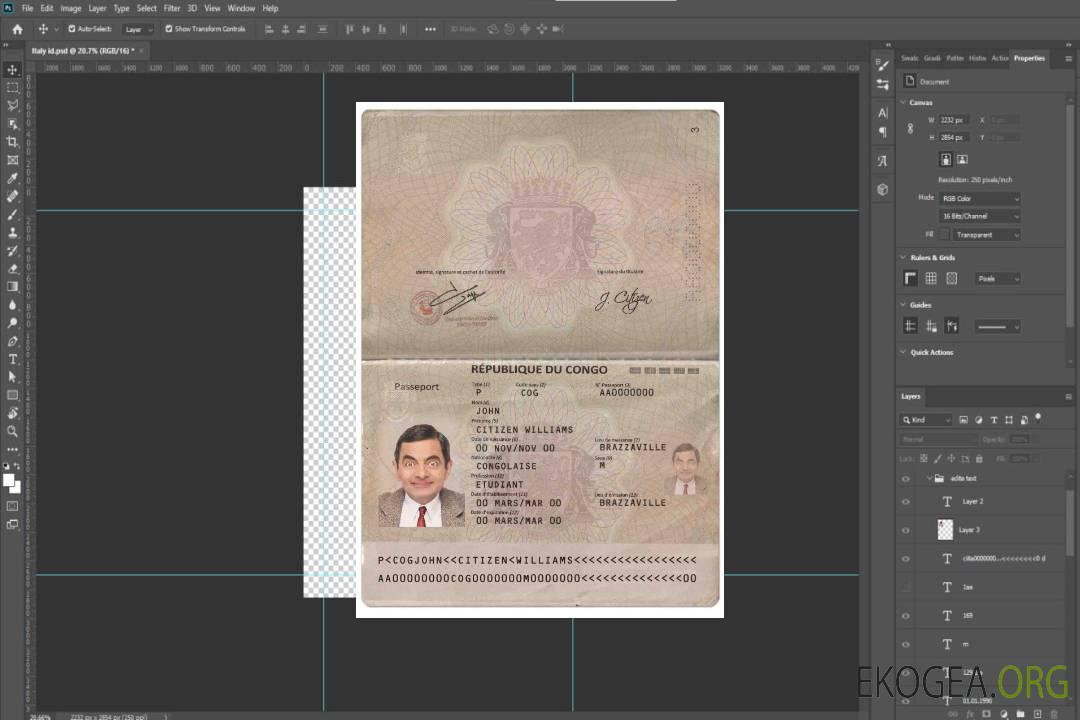 Passeport congolais (2014-présent) template